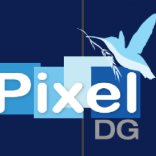 Imagen de PixelDG